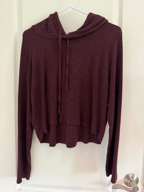 PacSun/John Galt Crop Hooded Sweater